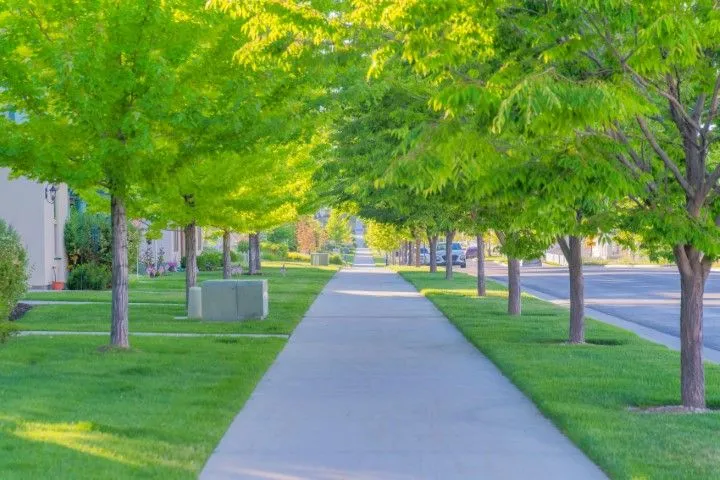 Tree-lined concrete sidewalk path through green park in Grandview, MO